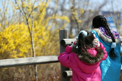 꽃샘추위에 경량패딩과 목도리 등 방한용품 매출이 다시 늘어나고 있다.   <연합뉴스>